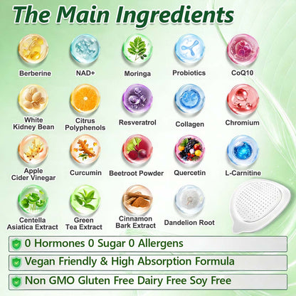 🧬 Alcuras™ Moringa + Berberine AMPK Slimming Patch